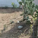 Il Dammuso Di Tracino *